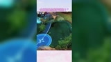 王者荣耀：女王大人岂是你能忤逆的？