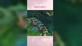 王者荣耀：你看懂了吗？