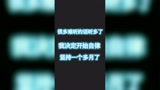 王者荣耀：一个猴子博主的自律变化