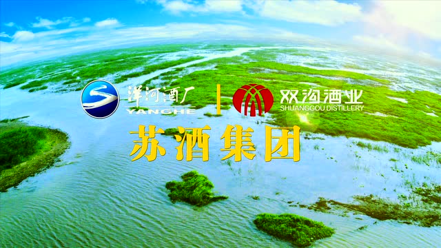 苏酒集团宣传片304