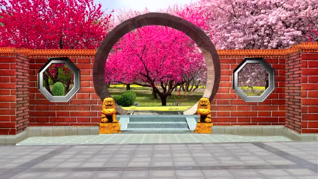 金山老牛抠像广场舞樱花公园背景二