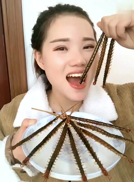 这女估计要成精了,一口吃掉几条蜈蚣
