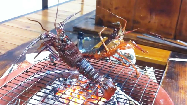 炭火活烤龙虾,鲍鱼,海螺,看着它们火中"跳舞"