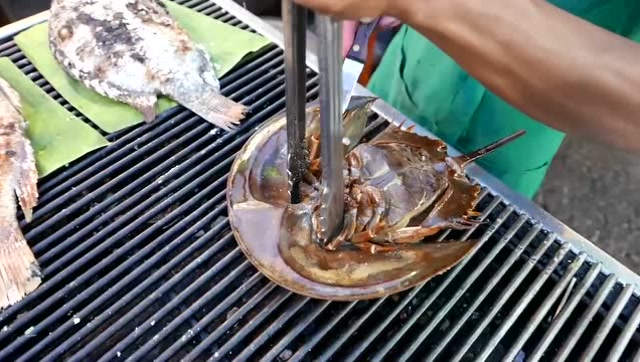 泰国街菜鲎蛋-猎奇笔记本第三十八期