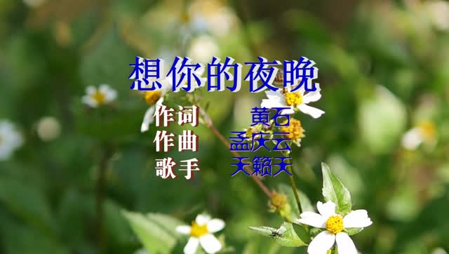 《想你的夜晚》天籁天  全新ktv版