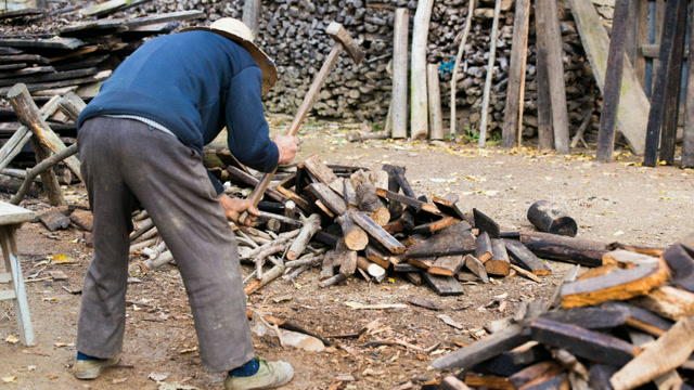 农村过年烧柴多,大叔劈柴闹新春