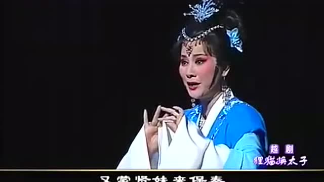 越剧全剧《狸猫换太子》吴凤花 吴素英 陈飞