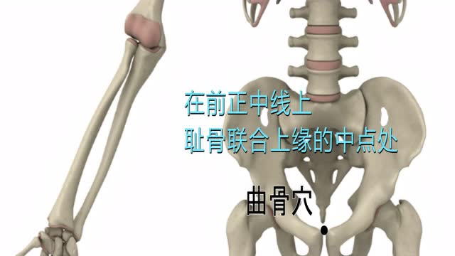 将象和中医艾灸针灸取穴曲骨穴