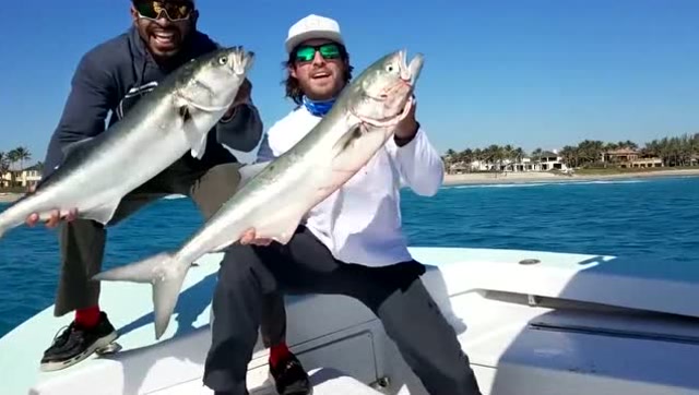 你试过乘游艇去捕鱼吗,看下老外怎么捕鱼的