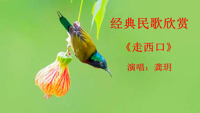 龚玥演唱的这首经典民歌《走西口》曲调真优美!