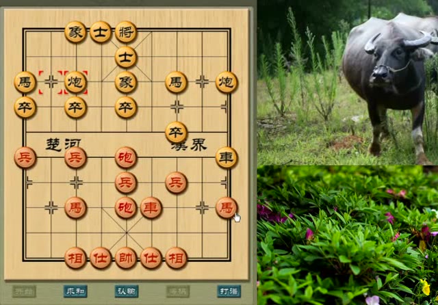 老雷象棋:套路越来越深,黑炮压马,对方双马出不来