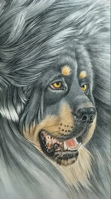 刘晓军中国工笔画藏獒作品