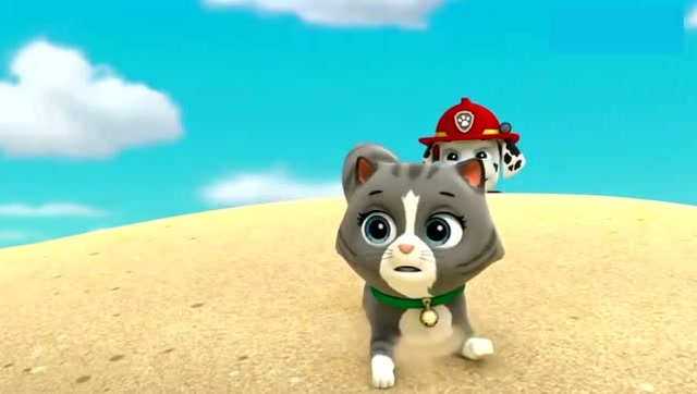 汪汪队立大功 第4季:毛毛找回所有的猫咪们