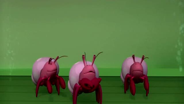 海底小纵队螳螂虾模式图片