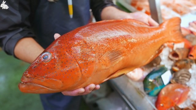 美食烹饪:红点石斑鱼上集