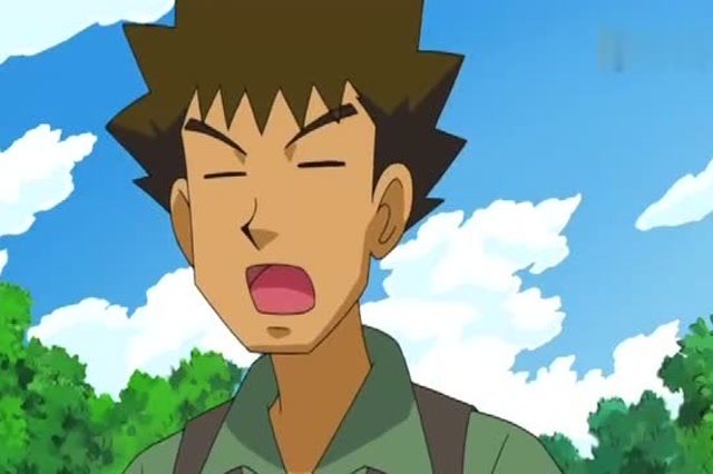 神奇宝贝,小刚看见了传说中的神兽,而小智刚好不在身边