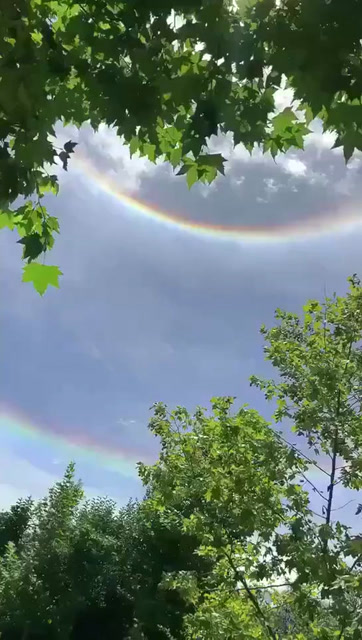 完整圆形的彩虹