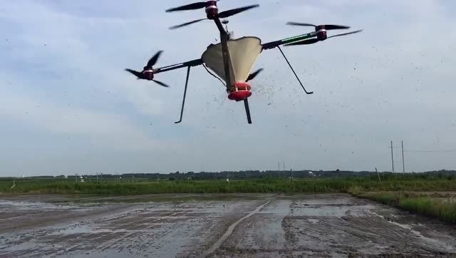 珠海羽人农用无人机水稻直播 播下希望的种子