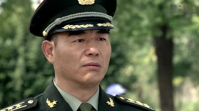 一个父亲对自己儿子的影响力是不可估量的,何晨光就是个典范