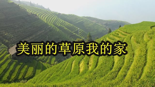 刀郎一首《美丽的草原我的家》好听醉了!句句入心