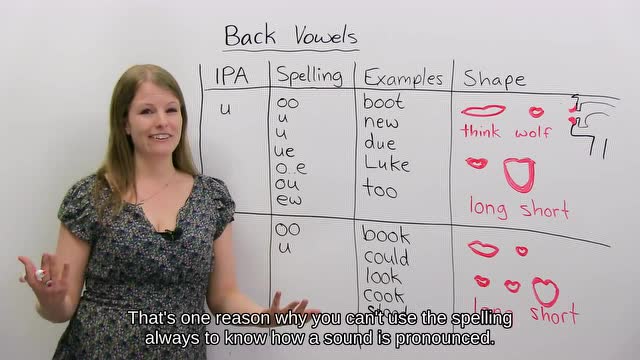 back vowels图片
