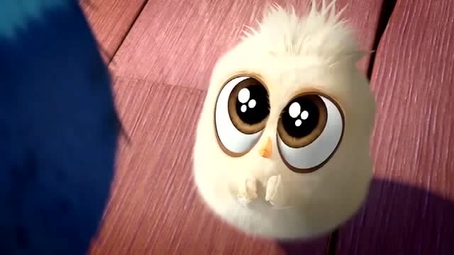 愤怒的小鸟:卖萌真是最厉害的武器!谁都受不了小白鸟的卖萌!