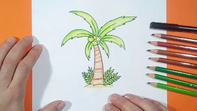 亲子简笔画:可爱棕榈树画画