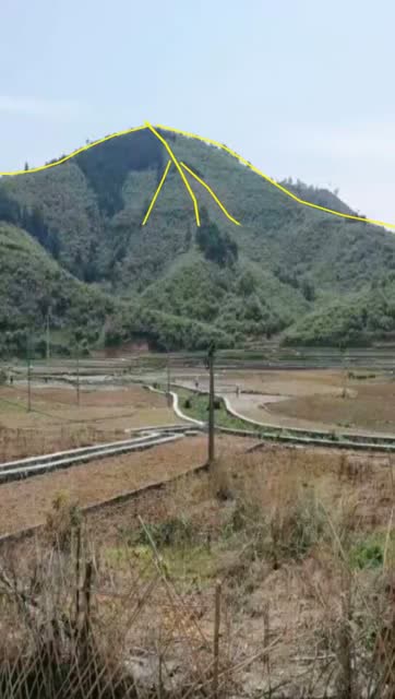 这风水宝地以后指不定出什么大人物呢!已有人出价十个亿!