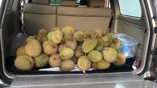 买了一车榴莲买榴莲,全部加起来居然才400多块人民币