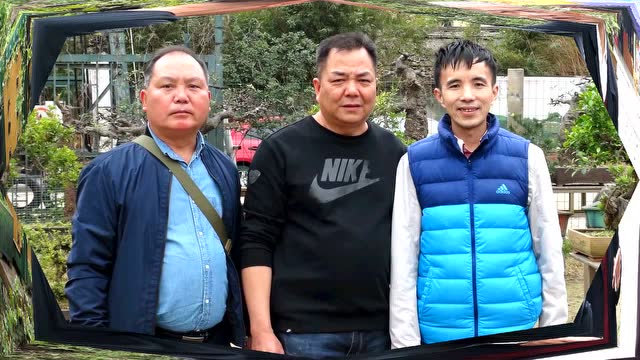 岭南盆景艺术家江国斌 (超清)1