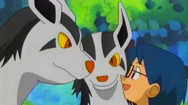 神奇宝贝:土狼犬进化成了大狼犬,瞬间变得好帅