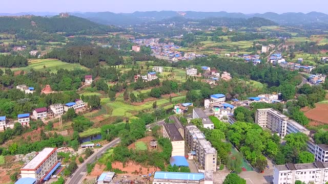 四川德阳中江县广福镇航拍:表面看着普通,实际藏着一味良药