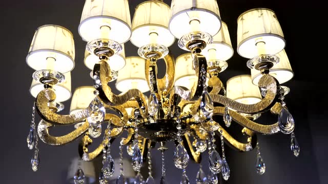 金丝华盏-威伦斯5328