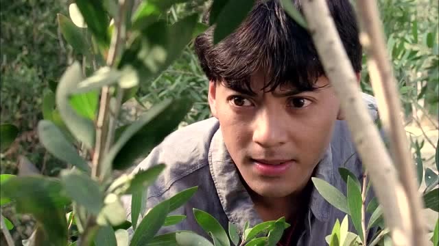 电影:莫少聪带村民拦截土匪,虽然有失误,但莫少聪还是很勇猛的