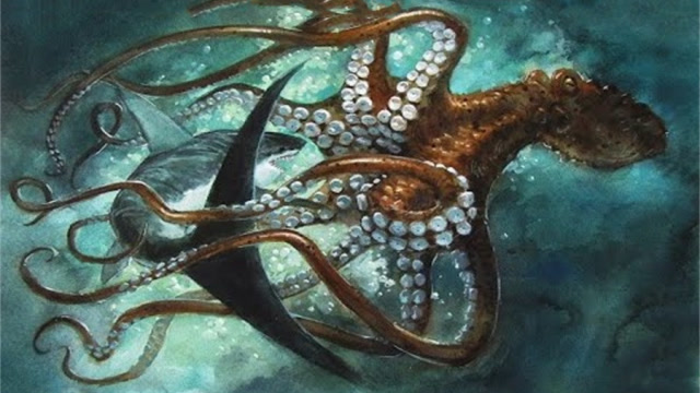 272斤巨型章鱼对战鲨鱼,两大海洋顶级捕食者的战斗,谁是猎物