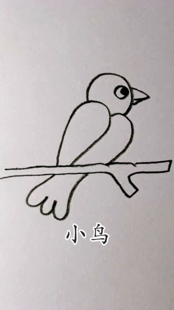 数字2画小鸟的画法图片