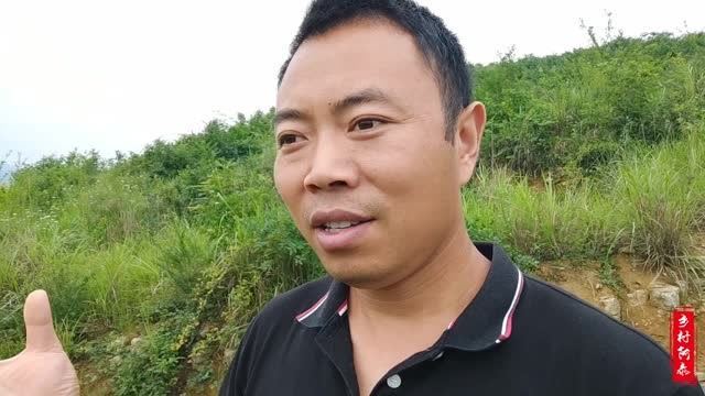 农村很多种植项目烂尾,阿泰好像发现了商机,大家对这事怎么看