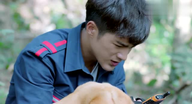 神犬小七3小七拿到手机却不能用边慕快急哭了小七一脸无辜