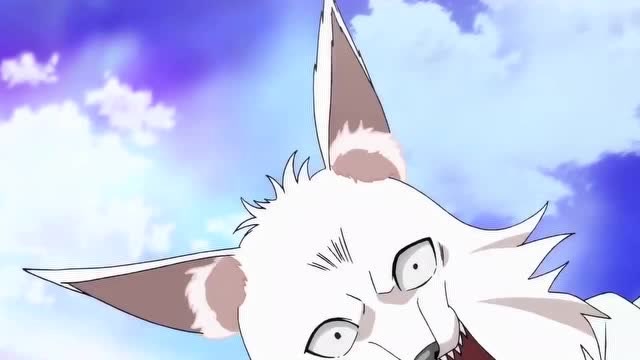 白月初再次使出必杀技,狐兵都被打懵了,说好的弱鸡呢