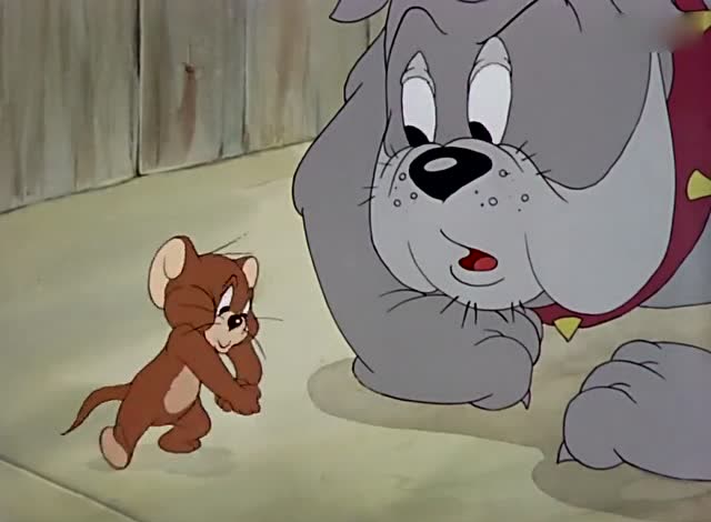 杰瑞被汤姆拍飞,狗却还是不懂它的意思,真是有苦难言