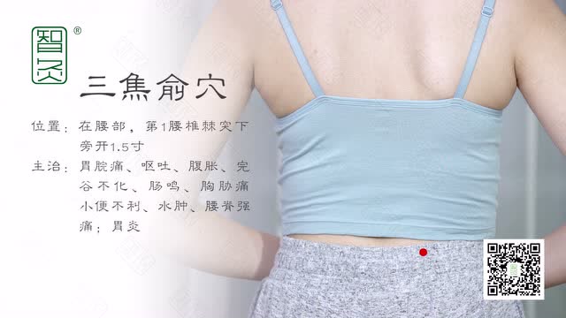 人体穴位介绍之三焦俞穴