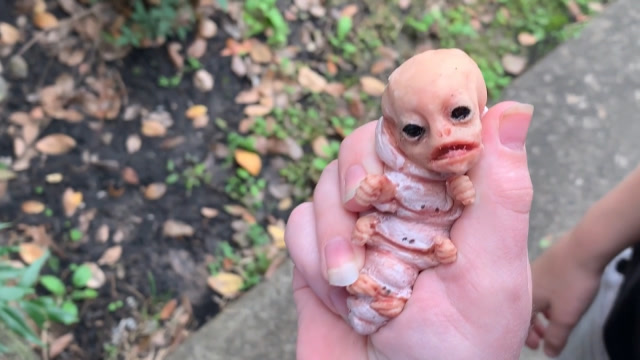 美国小孩捡到"外星虫",虫身长人头,嘴里不停说话