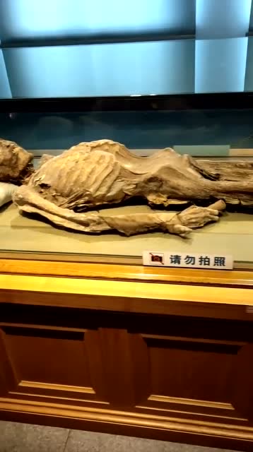 旅顺博物馆干尸,黄沙下的永恒