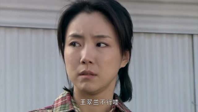 翠兰的爱情:马成帮王寡妇搬梨,王寡妇这下感动坏了