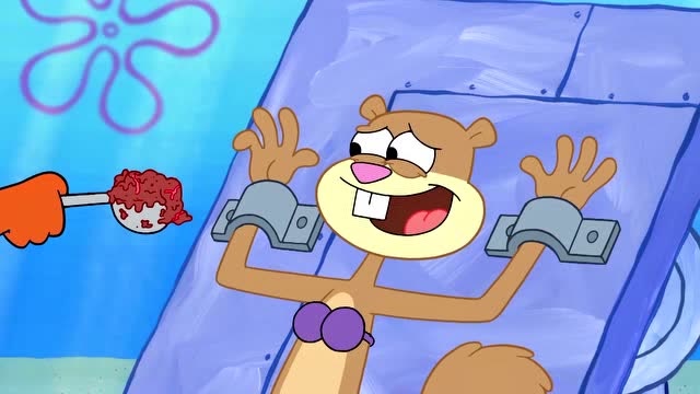 海绵宝宝:珊迪的纪录