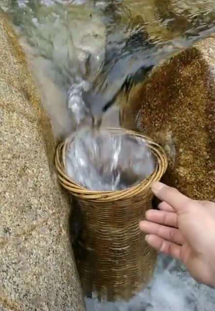 放了三天的鱼笼子,拿起来一看,这够一顿饭吗