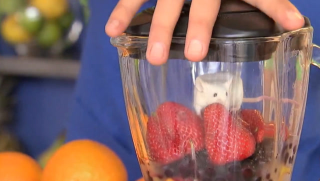 老外将仓鼠扔进榨汁机?见顾客喝下果汁后,路人内心是崩溃的!