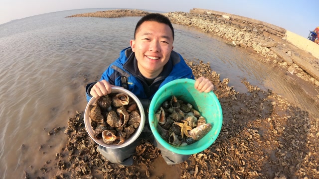 新发现神秘石头坝赶海!二蛋直接爆了2桶货,大呼一天1000不是梦