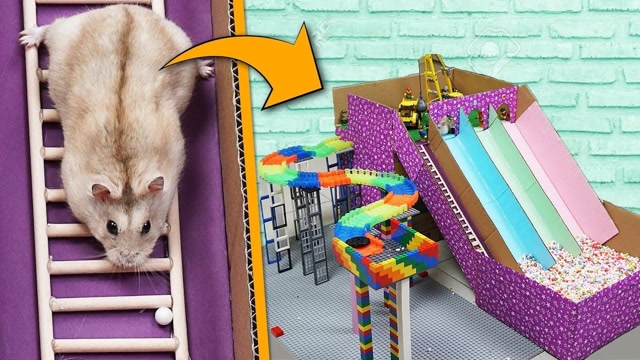 可爱的仓鼠,两只小仓鼠在游乐场,玩滑梯和球池中的纸板