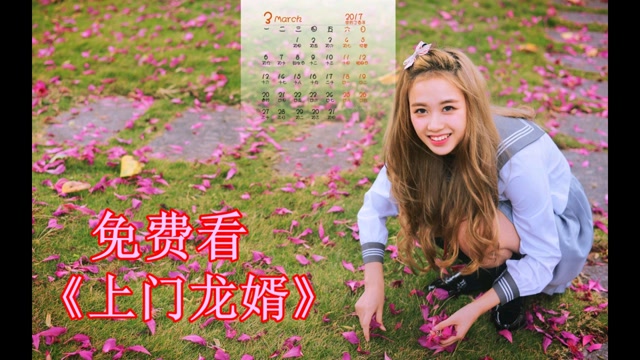 上门龙婿叶辰电视剧大结局抢先看